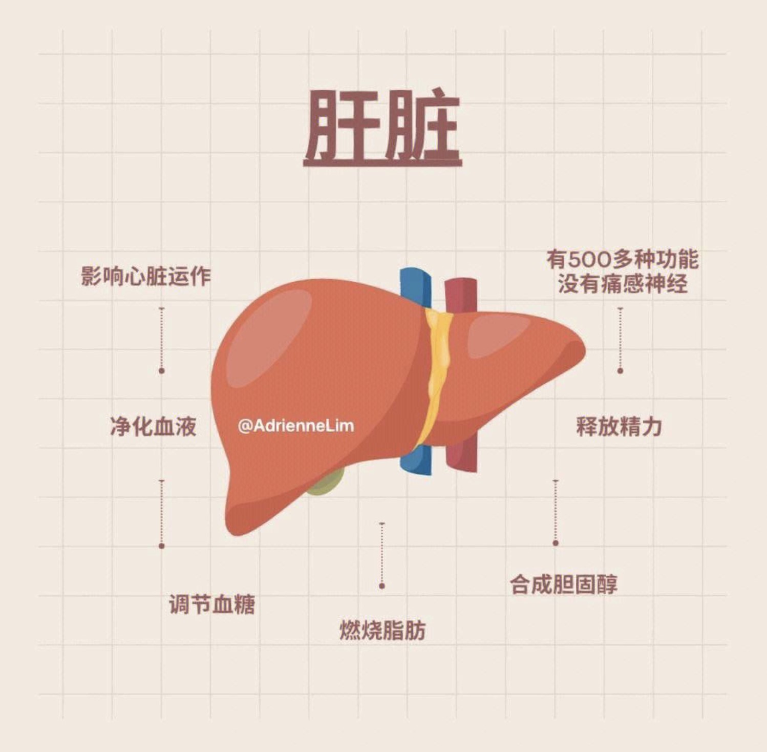 65950e686b2ac.jpg 65950e686b2ac.jpg